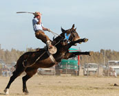 Rodeos