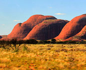 The Outback
