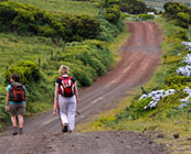 Walking and cycling trails