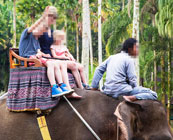 Elephant rides