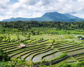 Munduk