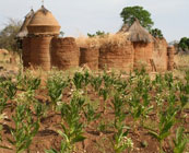 Somba villages