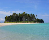 Island life