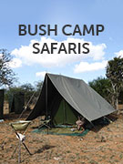 Bush camp safaris