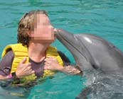 Captive dolphins