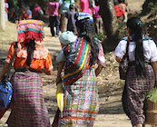 Indigenous cultures