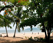 Tamarindo
