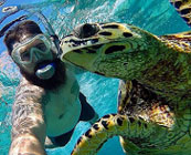 Turtle selfies