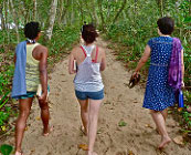 Caribbean coast