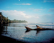 Caribbean coast