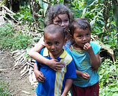 Tico culture