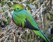 Wonderful wildlife