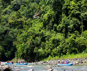 Pacuare