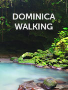 Dominica walking