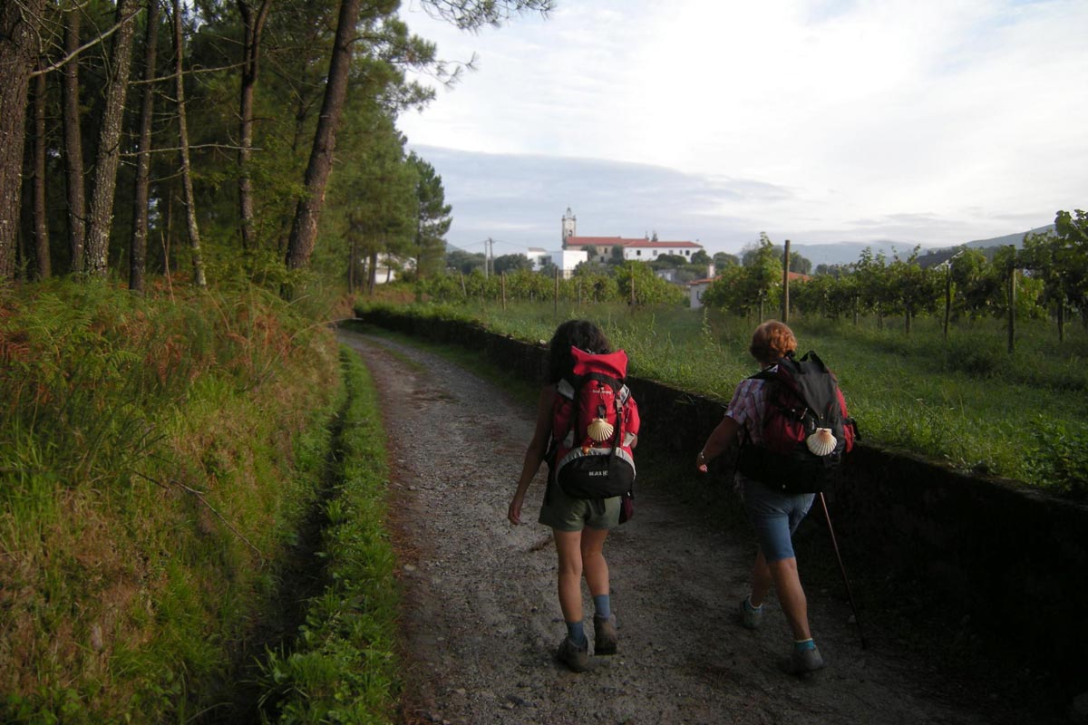 Walking the Camino de Santiago