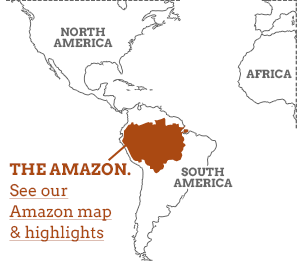 Tropical Rainforest Guide: How Rainforests Work