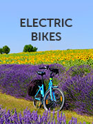 Electric bikes