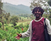 Local guides