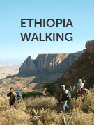 Ethiopia walking