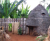 Ethiopian culture