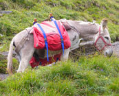 Hiking <i>en famille</i>