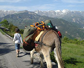 Hiking en famille