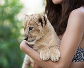 Walking with lions