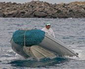 Cheap boat tours