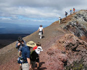 Hiking