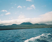 Isla Floreana