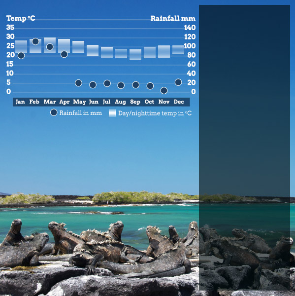 Best time to visit Galapagos. Responsible travel guide to when to visit the Galapagos Islands.