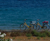 Cycling