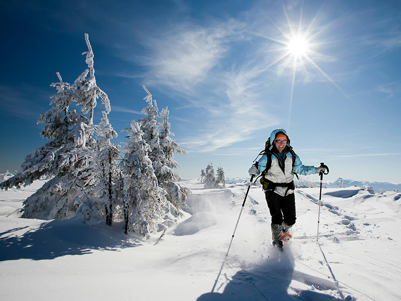 Our winter holidays Our winter holidays