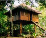 Tourism greenwashing - a genuine ecolodge