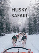 Husky safari