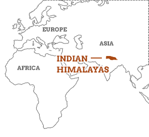 himalayan mountains world map