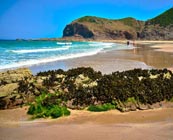 Beaches