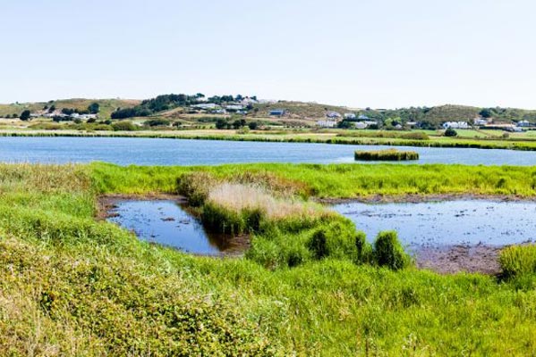 St Ouen's Pond, Jersey. Photo from Jersey Tourist Board