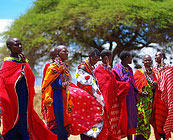 Maasai culture