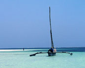 The coast