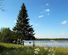 Lapland in summer