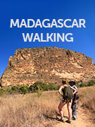 Madagascar walking