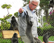 Feeding monkeys