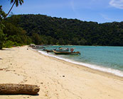 Penang National Park