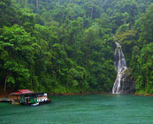 Protected rainforests
