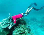 Snorkelling
