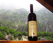Wine