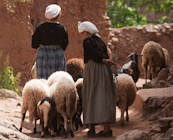 Atlas Mountains