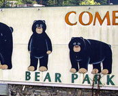 Bear zoos