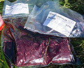 Whale meat